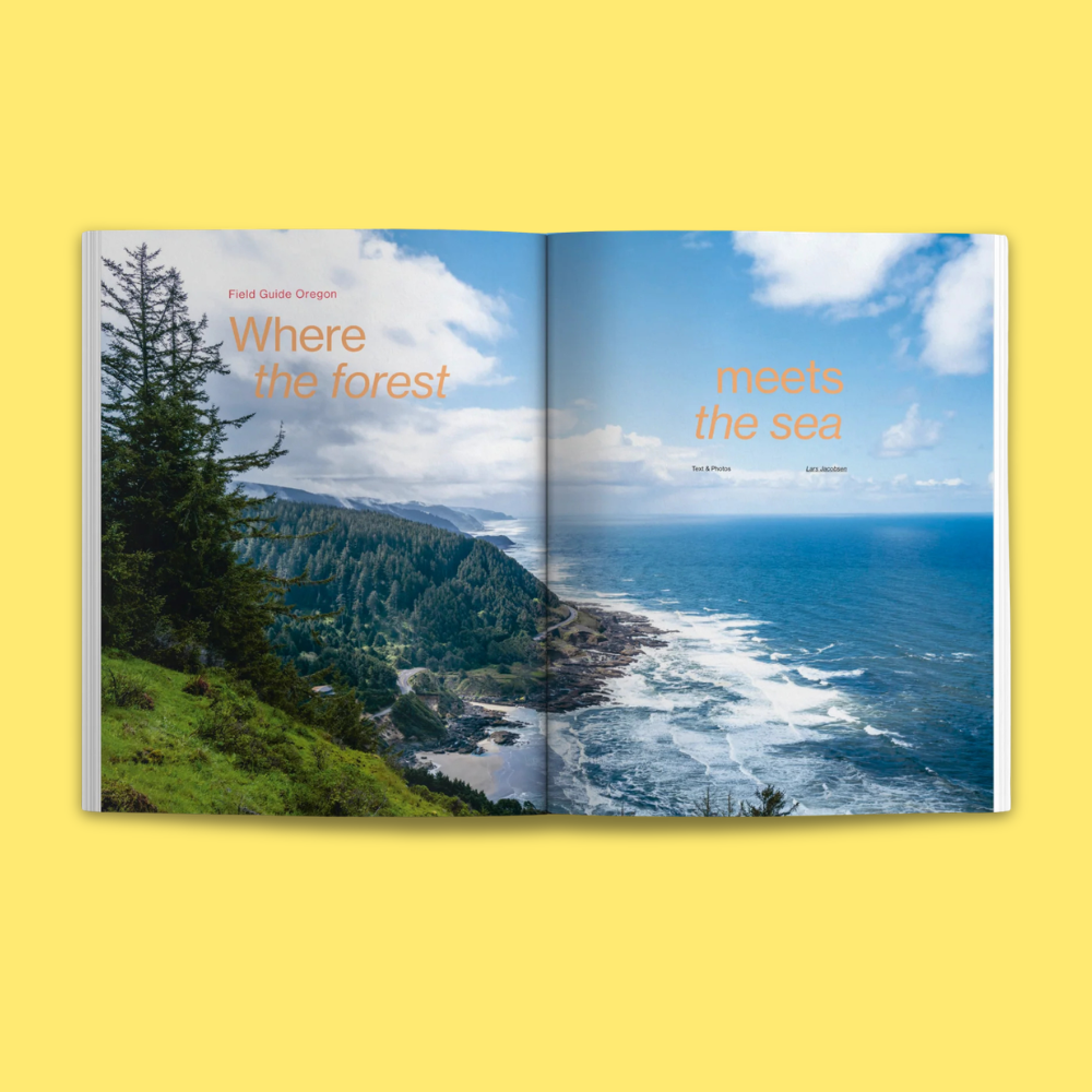 Waves & Woods Issue #38