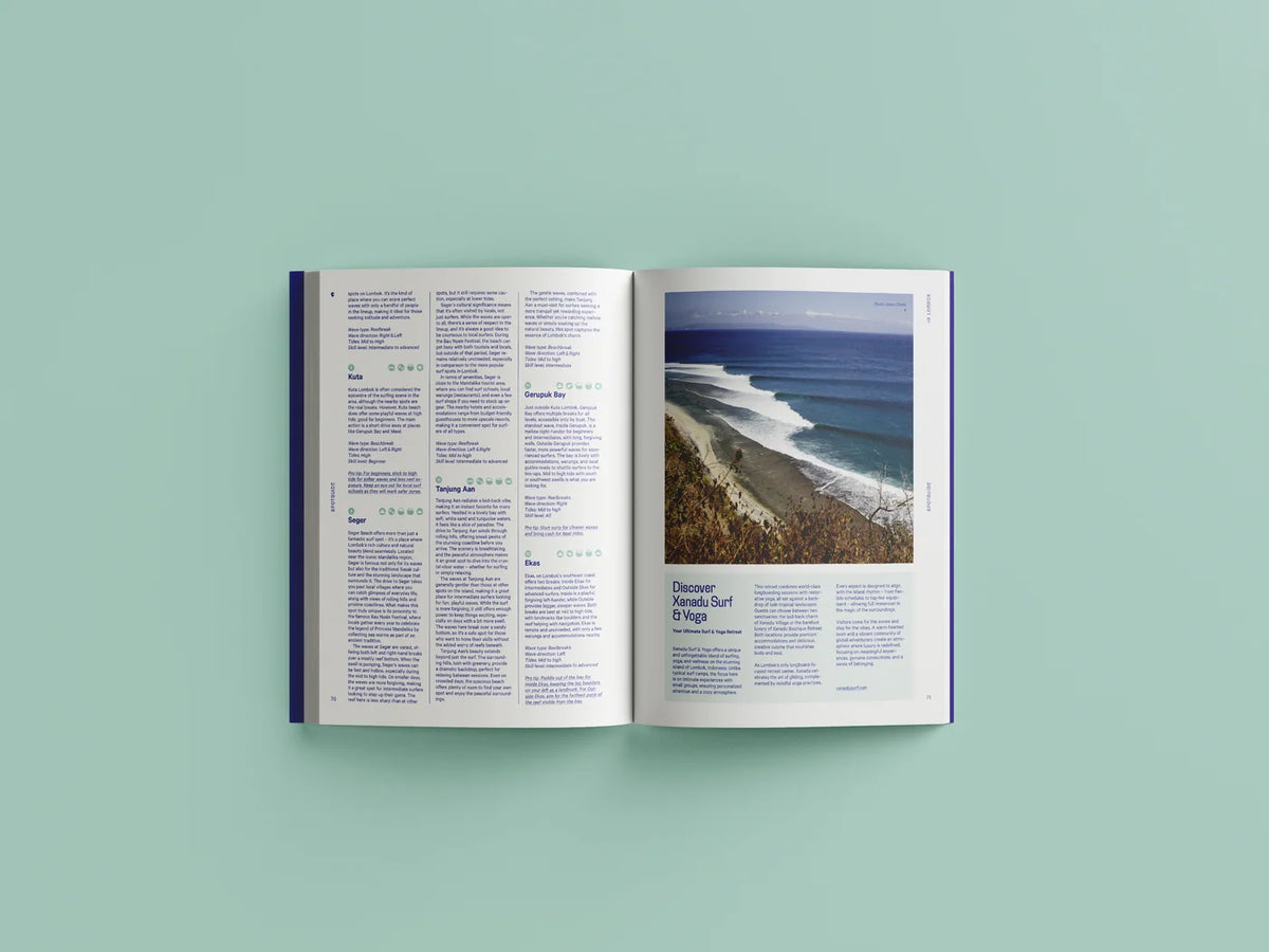 The Indo Surf Bible