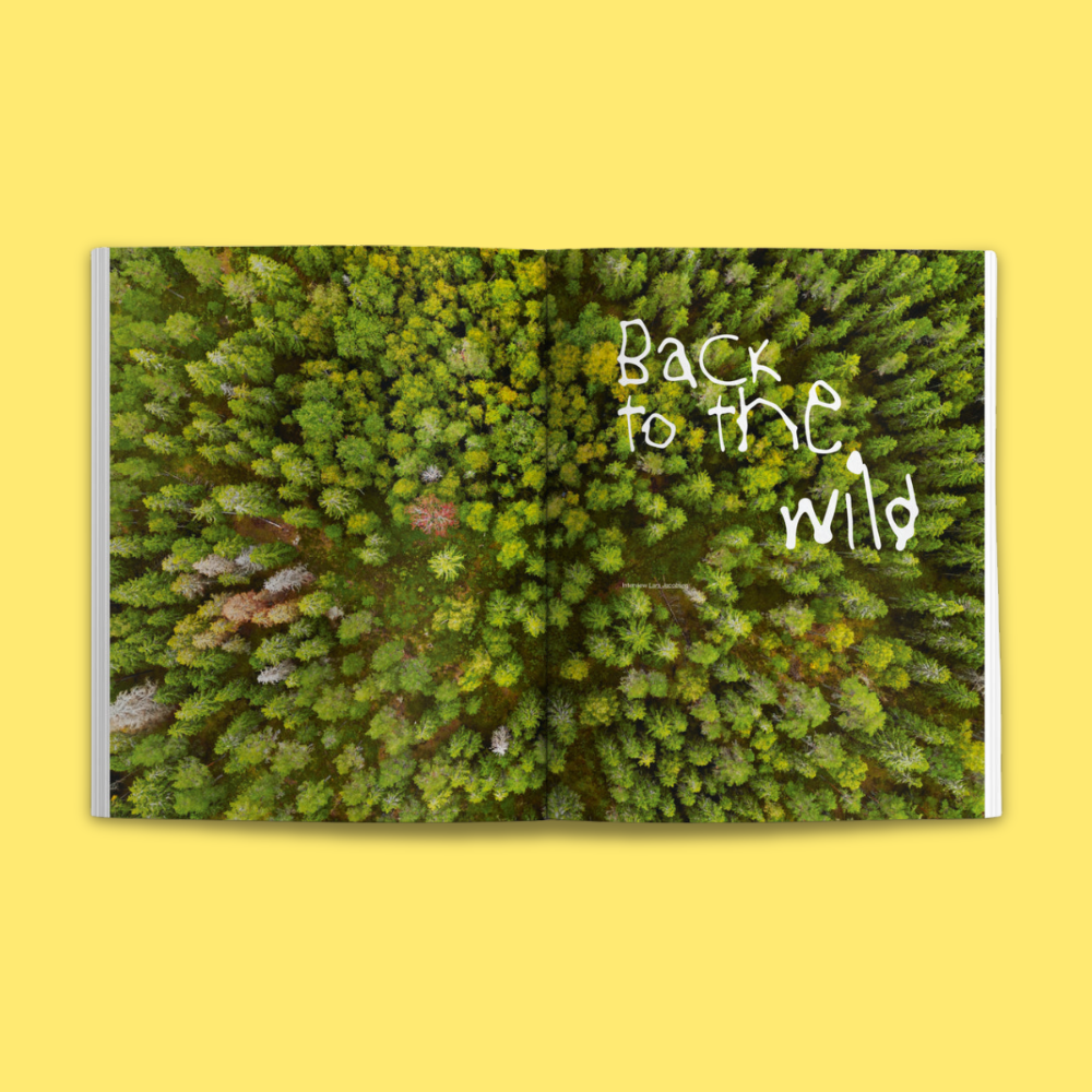 Waves & Woods Magazin - Issue #42