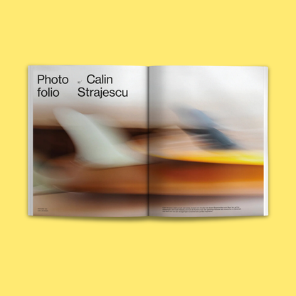 Waves & Woods Issue #33