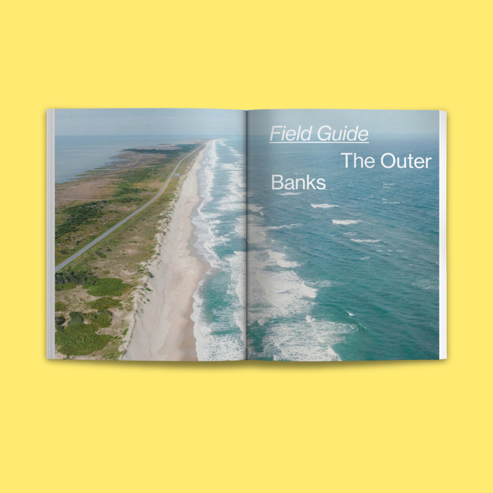 Waves & Woods Issue #33