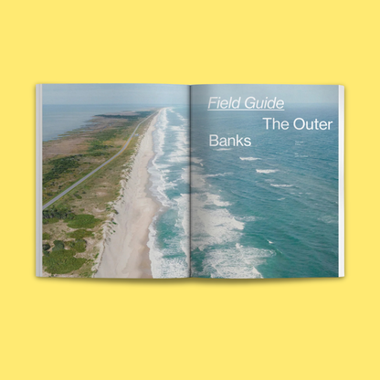Waves & Woods Issue #33