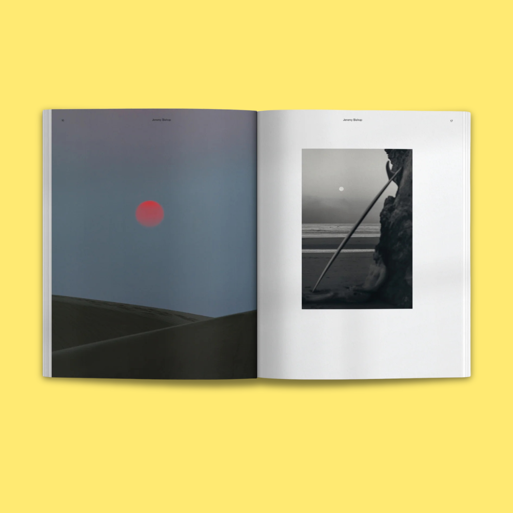 Waves & Woods Issue #36
