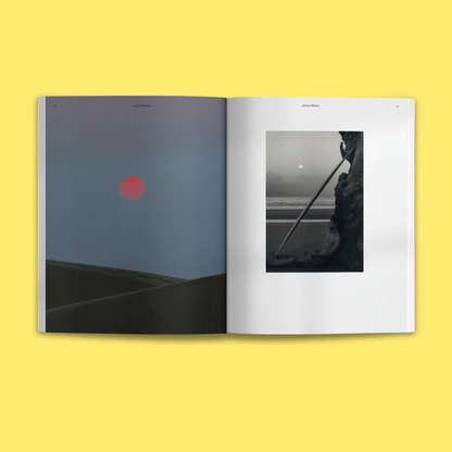 Waves & Woods Issue #36