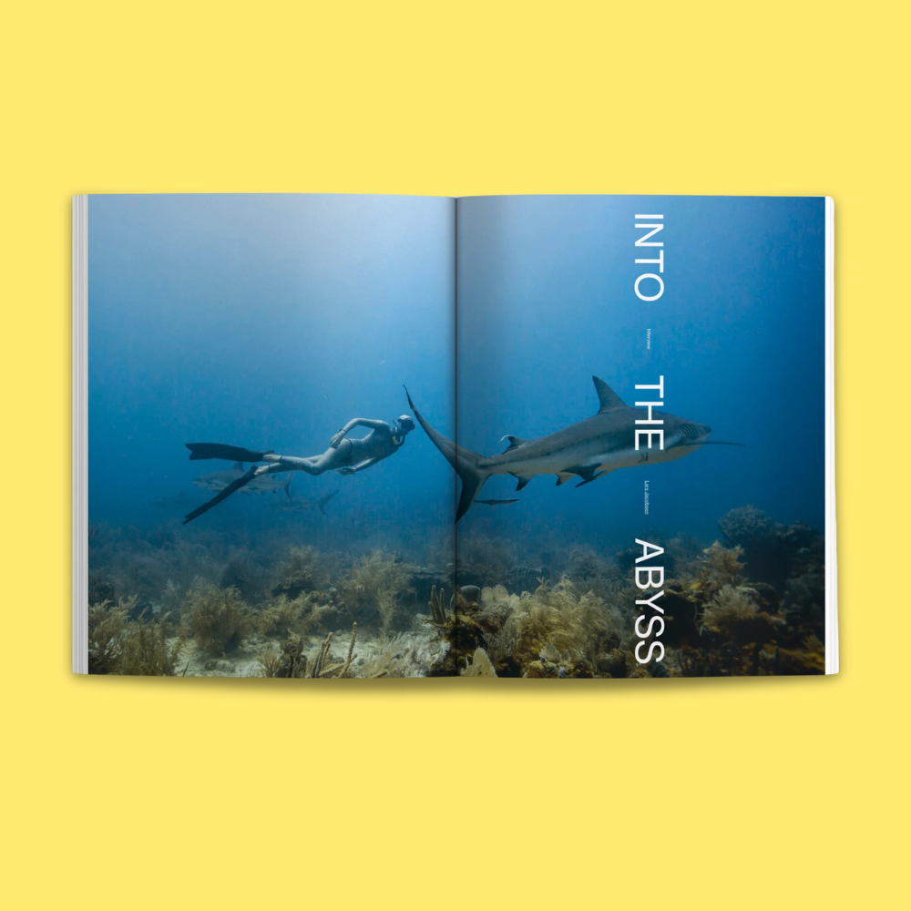 Waves & Woods Issue #37