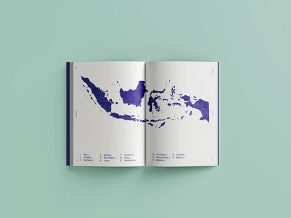 The Indo Surf Bible