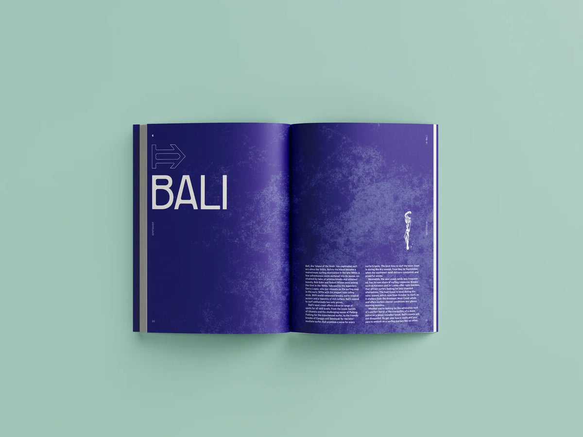 The Indo Surf Bible